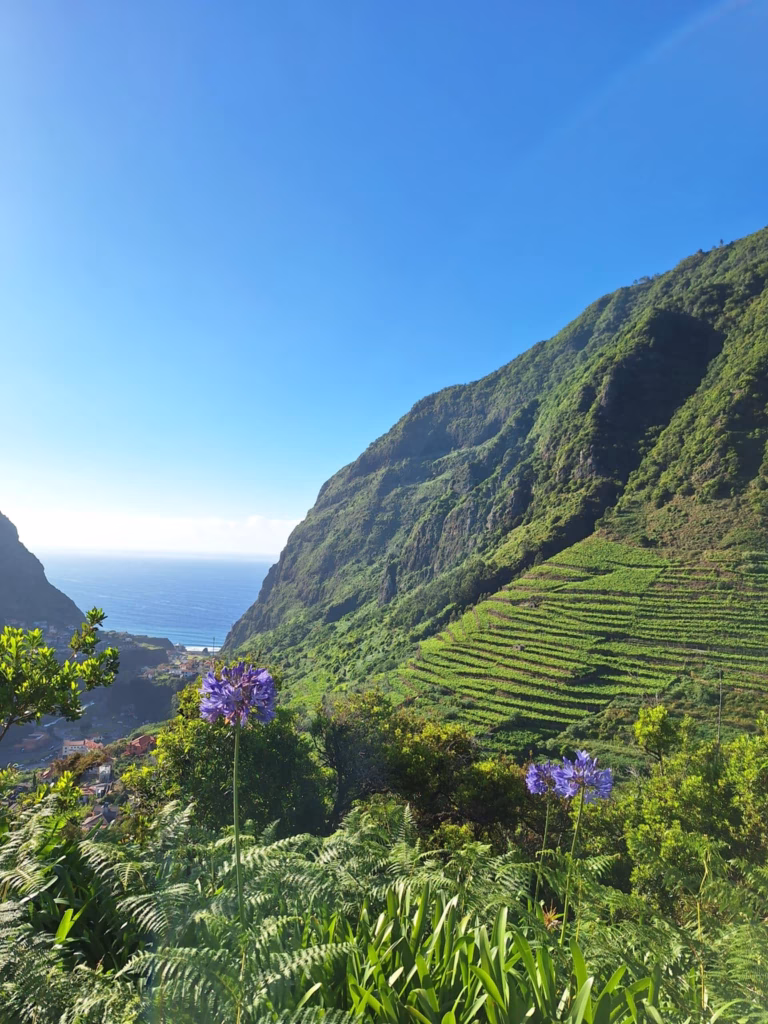 Sao Vicente Madeira