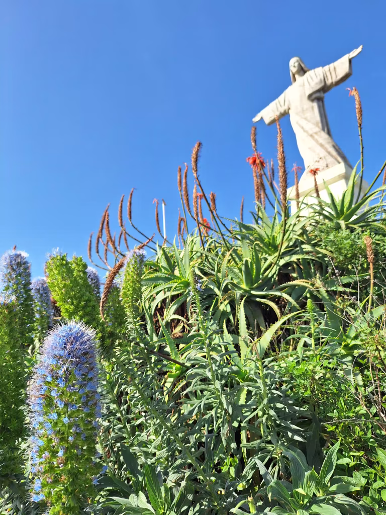 madeira-deli-part-cristo-rei-szobor