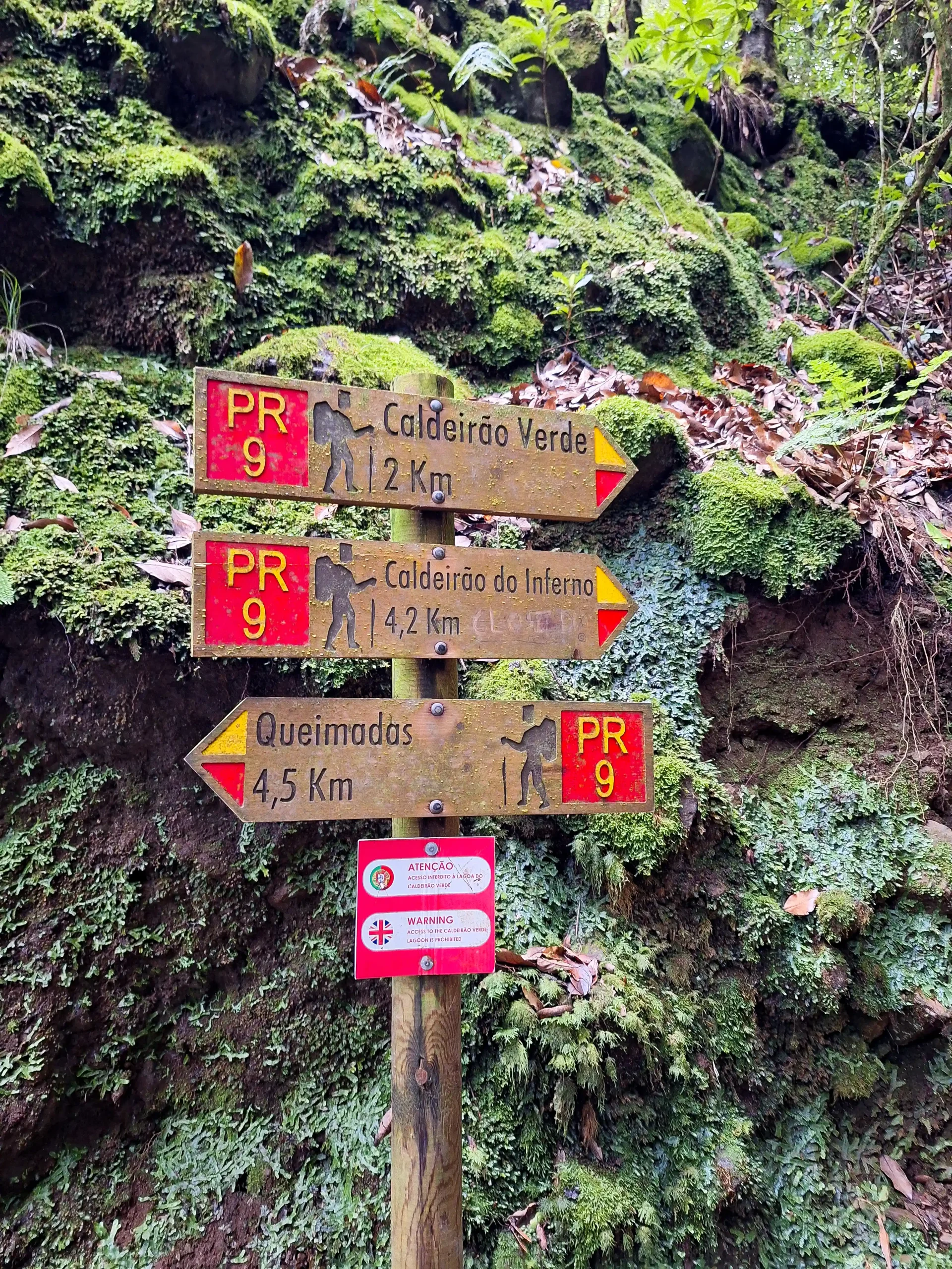 Madeira fizetos turautvonal